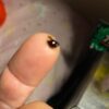 Rick Simpson Oil 500grams - Image 15